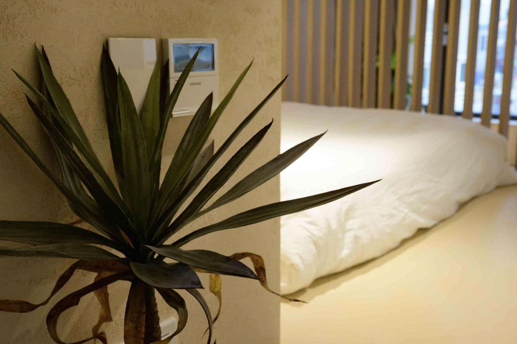 Catnap Guesthouse Busan Bagian luar foto